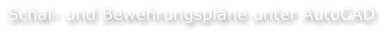 Schal- und Bewehrungspl�ne unter AutoCAD